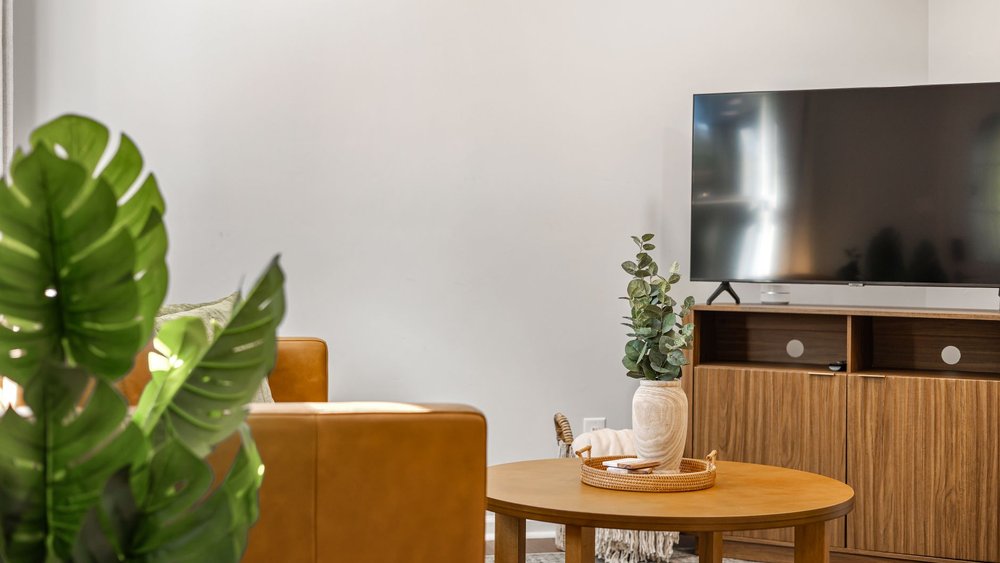 VOD テレビ 大画面